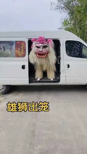 雄狮出笼，放狮归山，回归自然