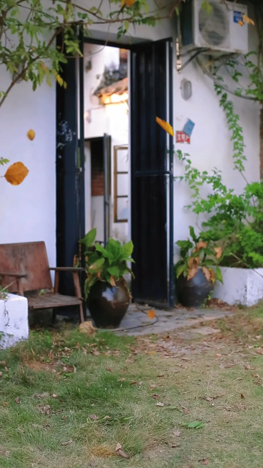 《坑娃系列》之我是一个专业摄影师（47）