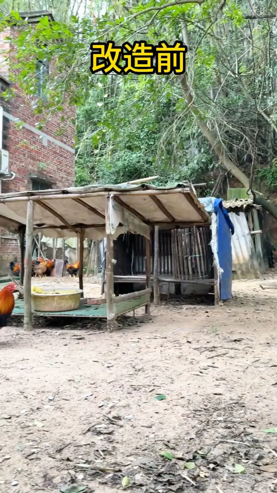 所有的努力这一刻具象化...