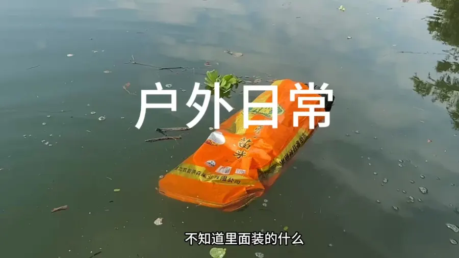 大家好，各位猜一下袋子里面装的会是什么呢！