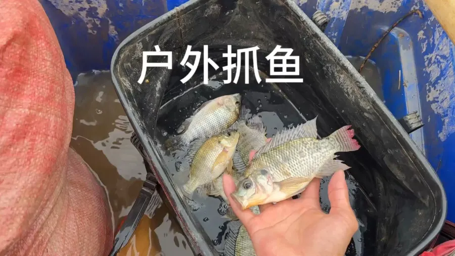 出来就有收获，空军不存在的