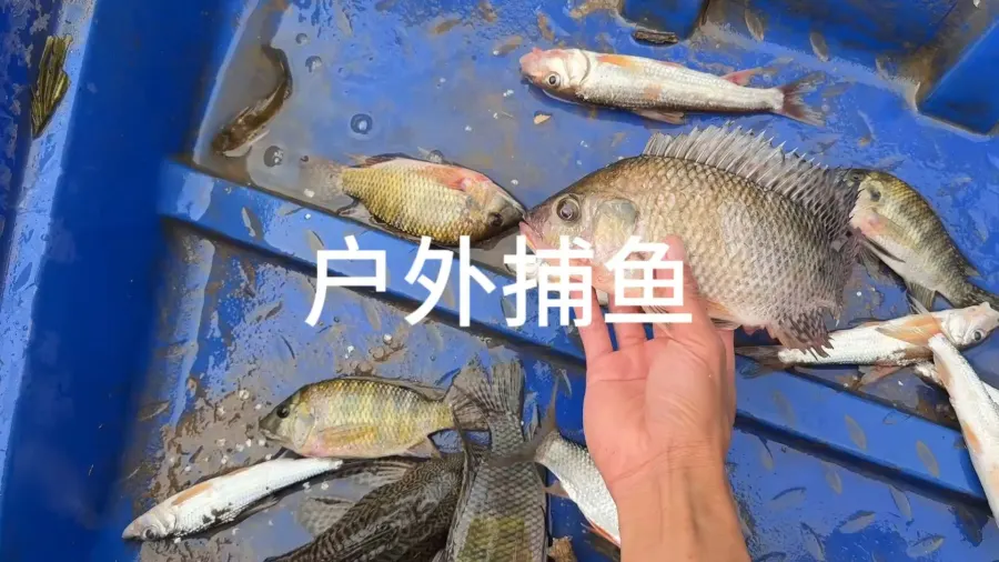 农村生活户外捕鱼