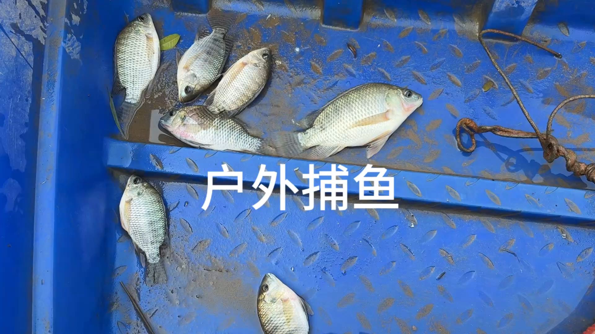 乡村的大河，虽不起眼，却是心中最美的风景。