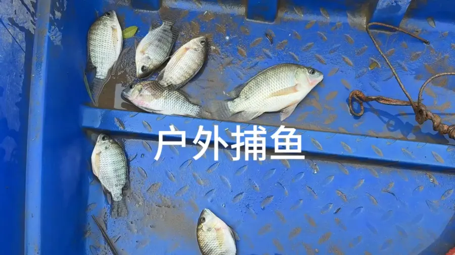 乡村的大河，虽不起眼，却是心中最美的风景。