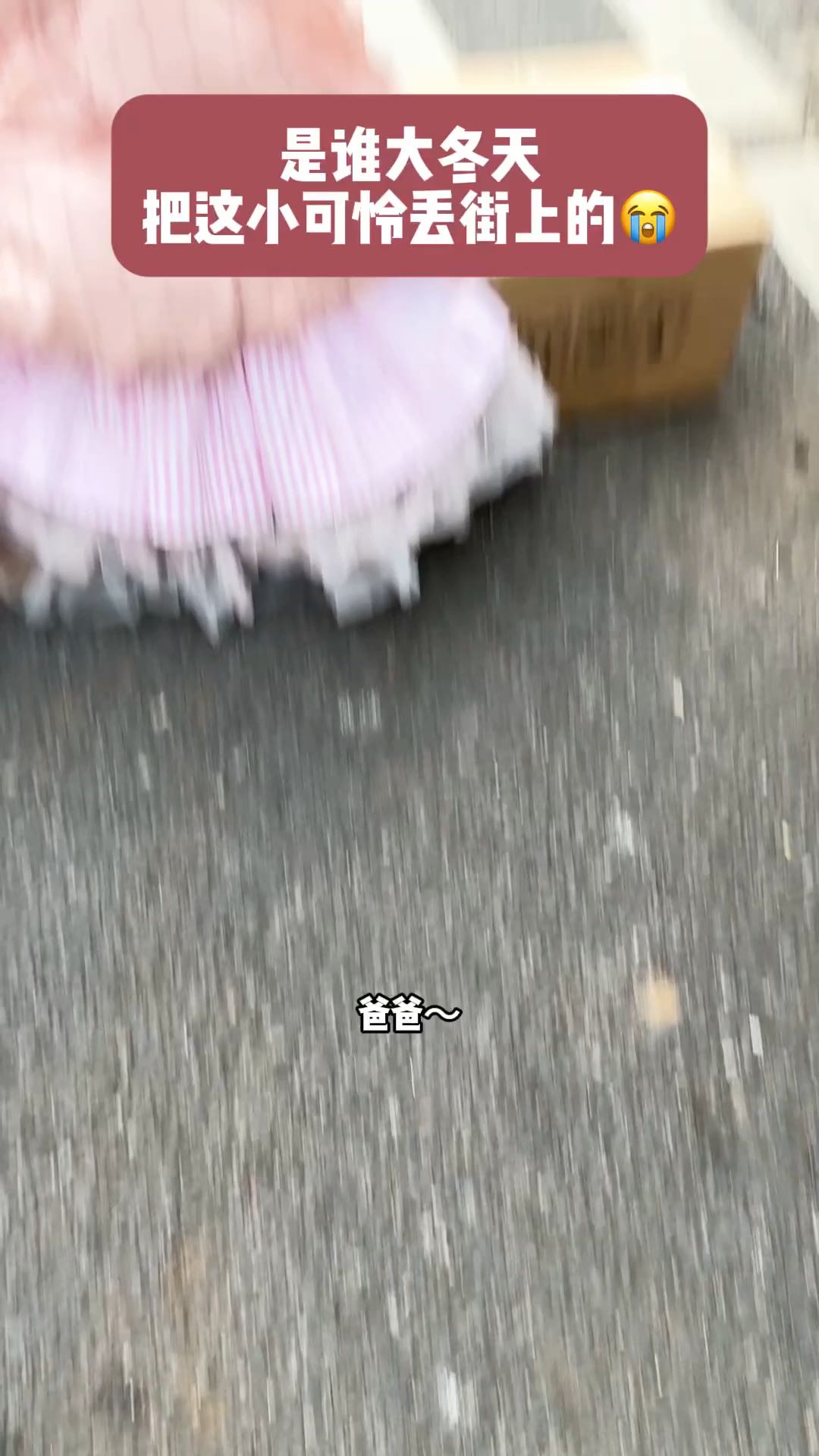 大家能帮忙看看是什么品种吗？